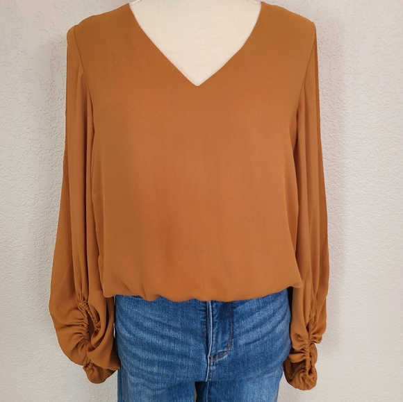 Chiffon Bodysuit Blouse Small - Picture 1 of 3